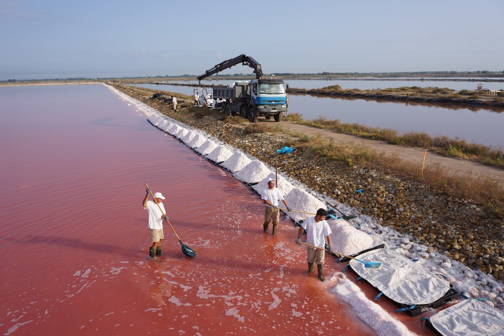 eau rose