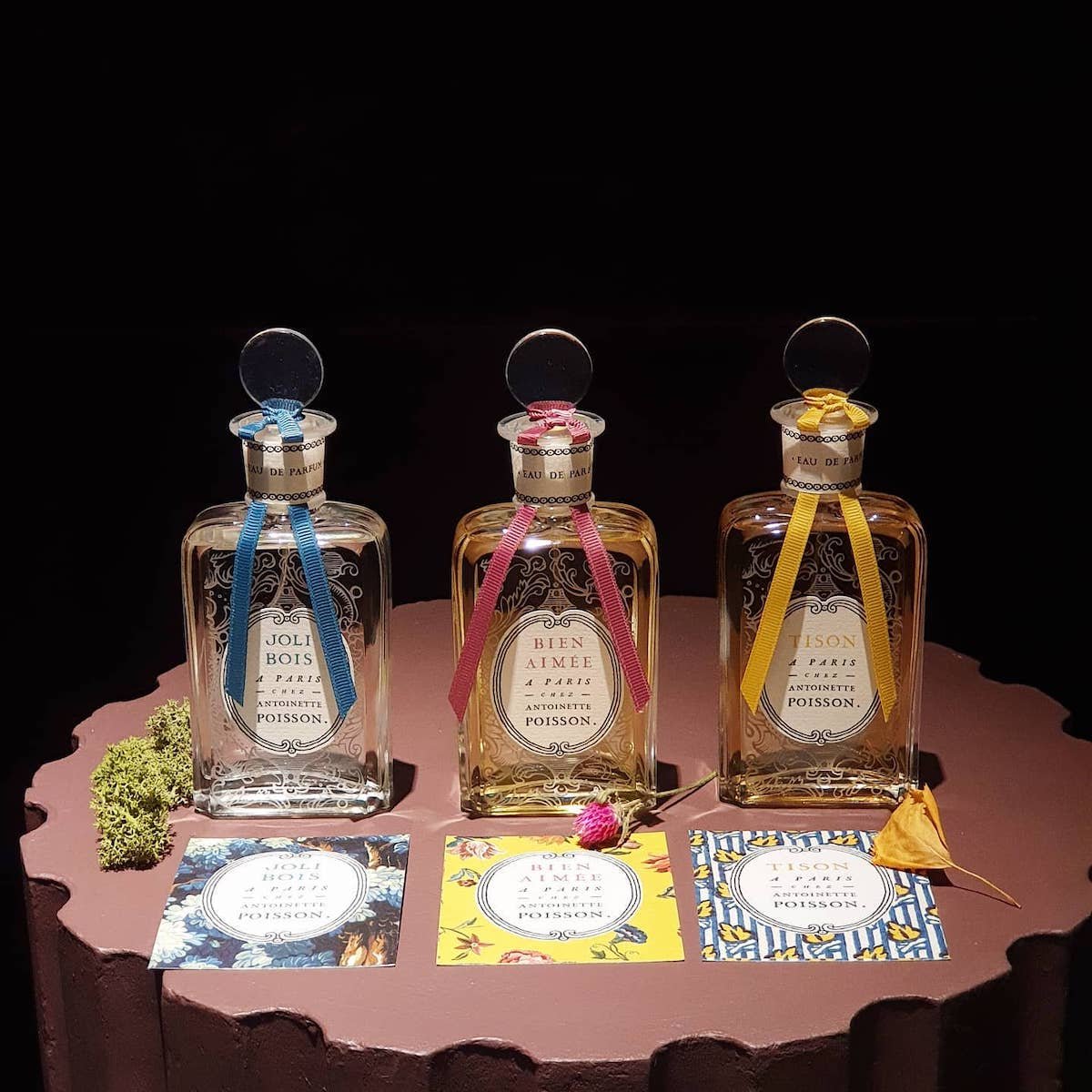 antoinette poisson parfum