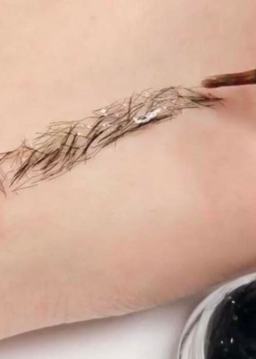 extension de sourcils
