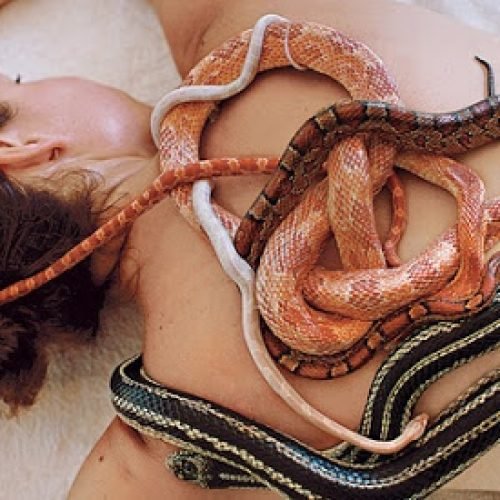 serpent-massage
